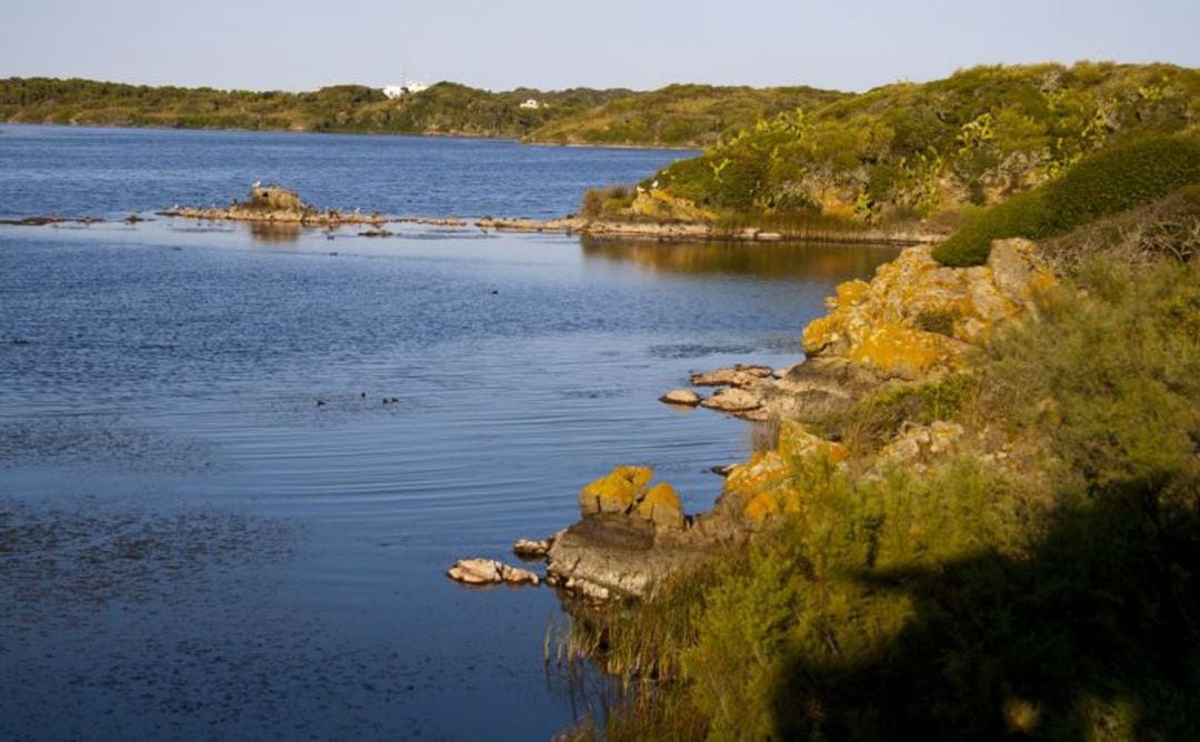 Los expertos analizarán si Menorca va por el buen camino como Reserva de Biosfera.