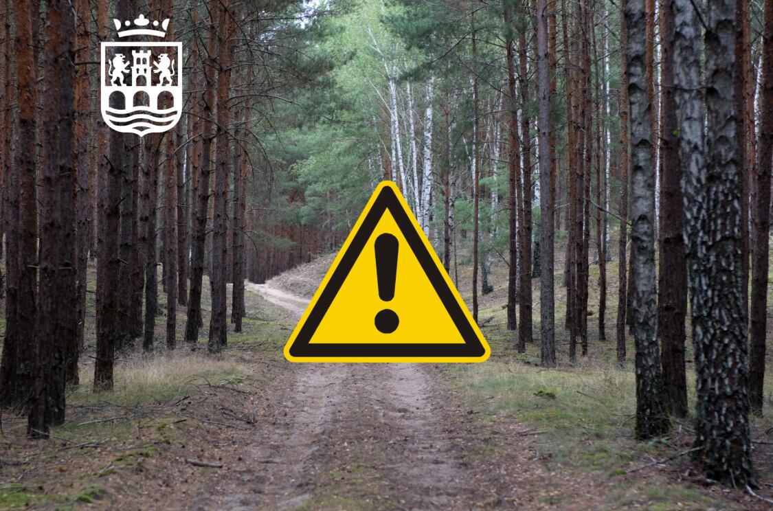 Imagen que ilustra el aviso del Ayuntamiento de estas actividades cinegéticas