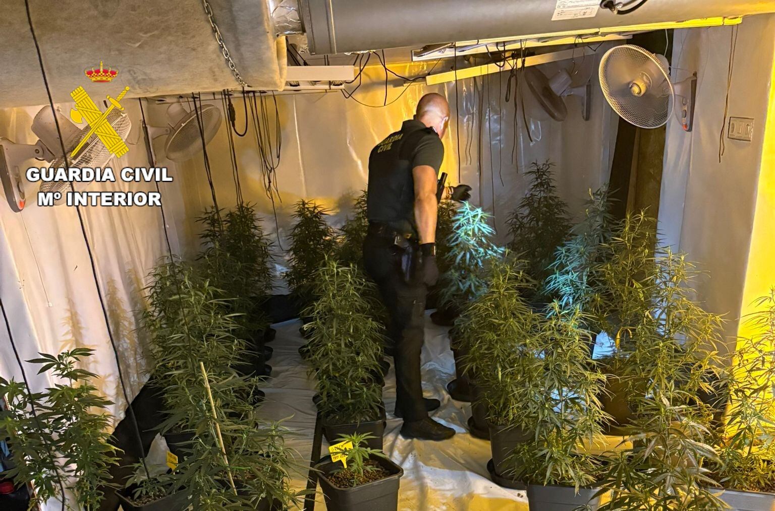 Operación en Rafelguaraf