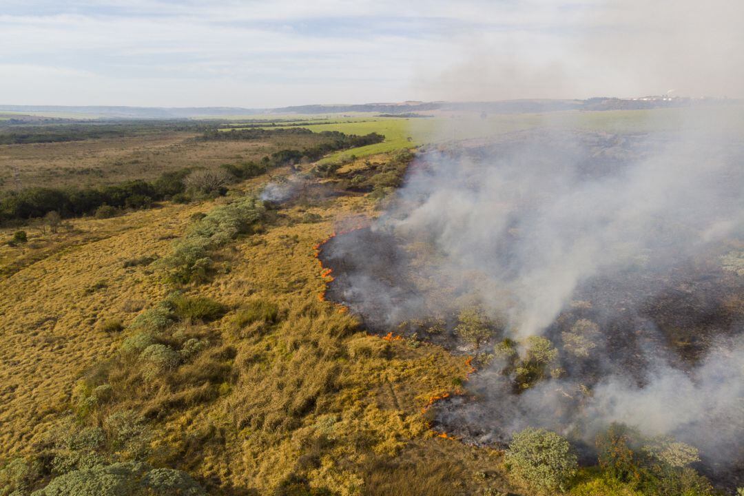 La Junta licita por más de 784.000 euros tratamientos selvícolas preventivos de incendios en Cervera de Pisuerga, Castrejón de la Peña, Dehesa de Montejo, Polentinos y La Pernía