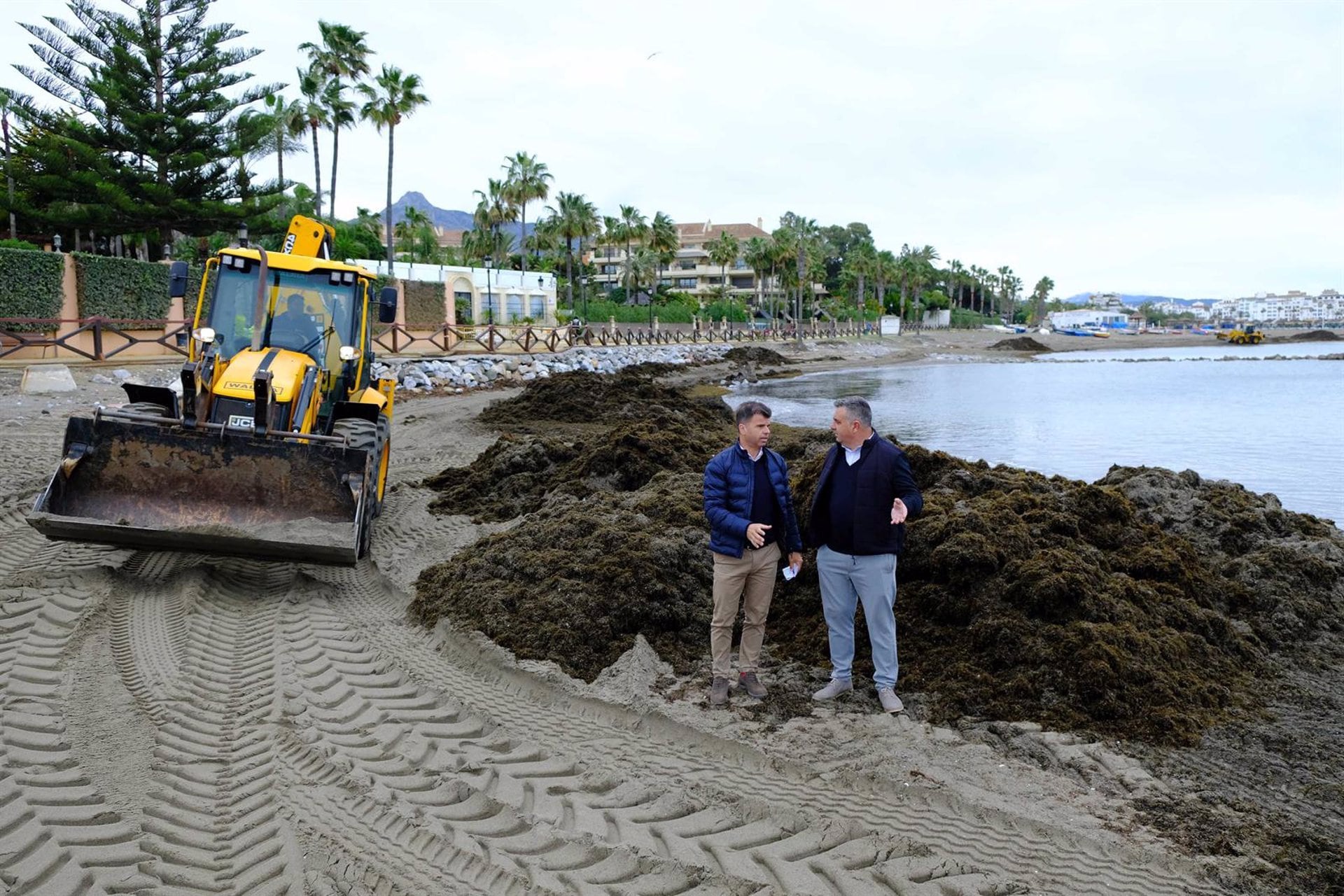 Retirada de algas esta semana en Marbella