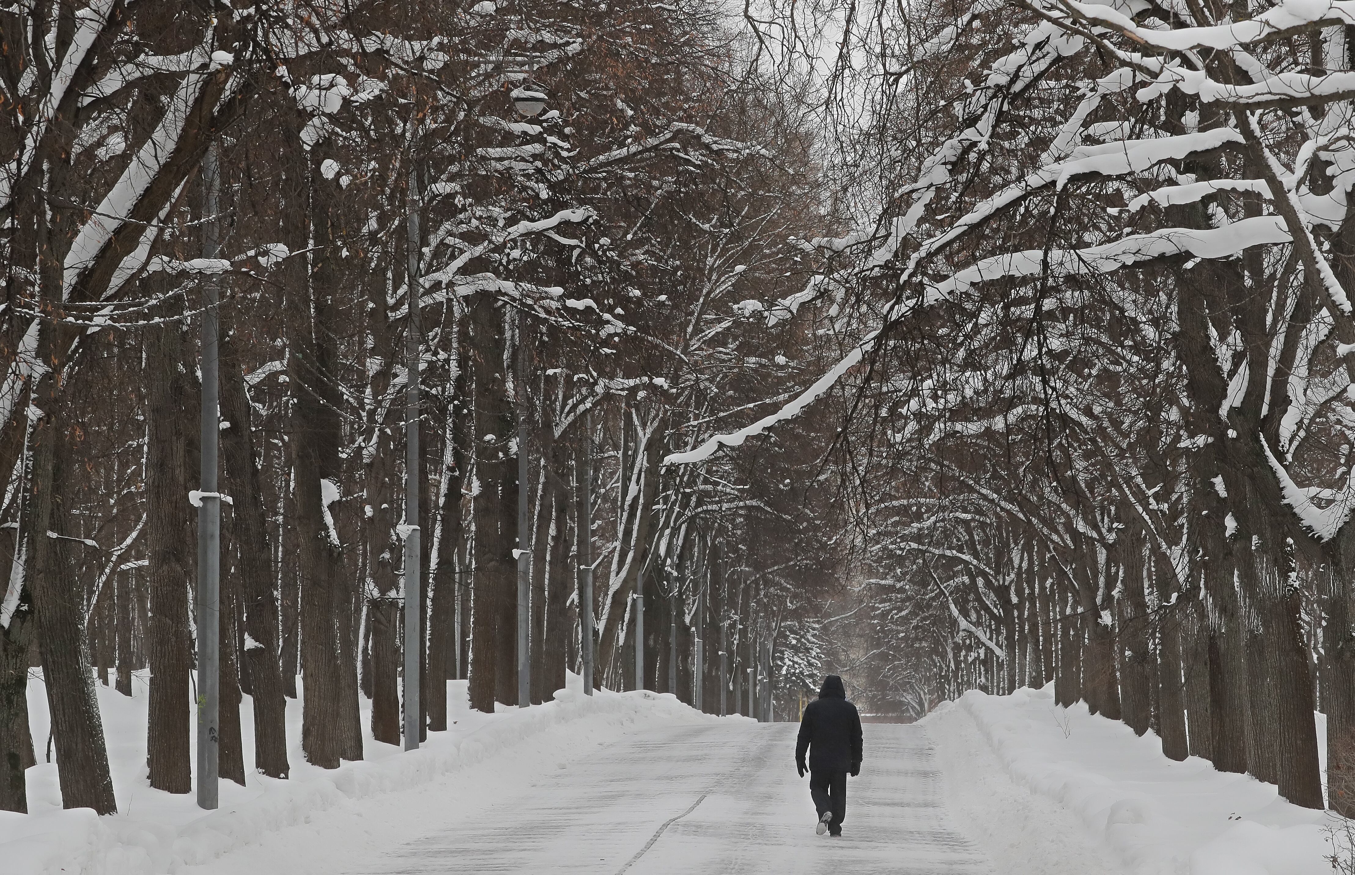 Un hombre caminando por la nieve en Moscú