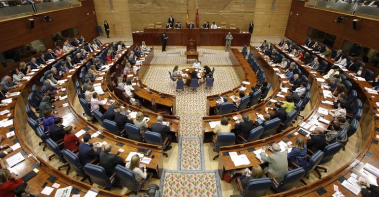 Sesión plenaria en la Asamblea de Madrid