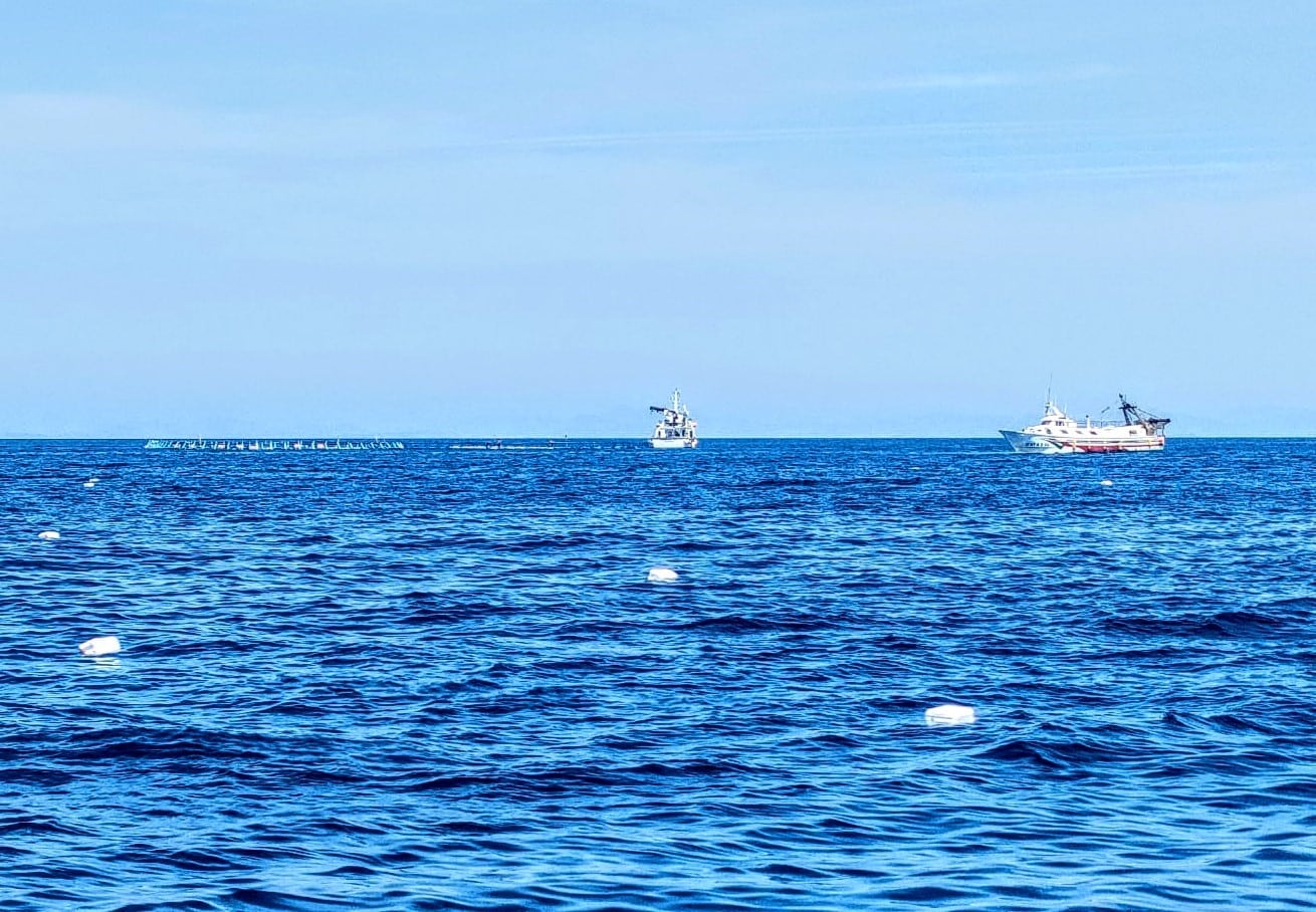 Bidones a la deriva cerca de la Reserva de Cabo de Palos