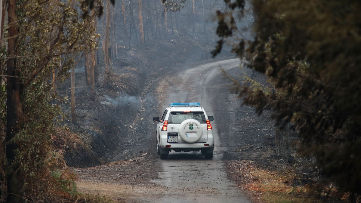Los bomberos forestales piden formación y estabilidad: "Hay brigadistas que tienen categoría de peones de caza y pesca"