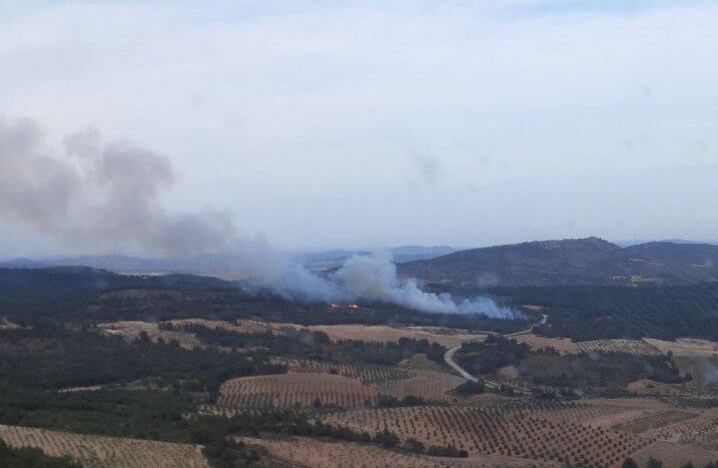 Incendio forestal declarado en Ayna (Albacete)