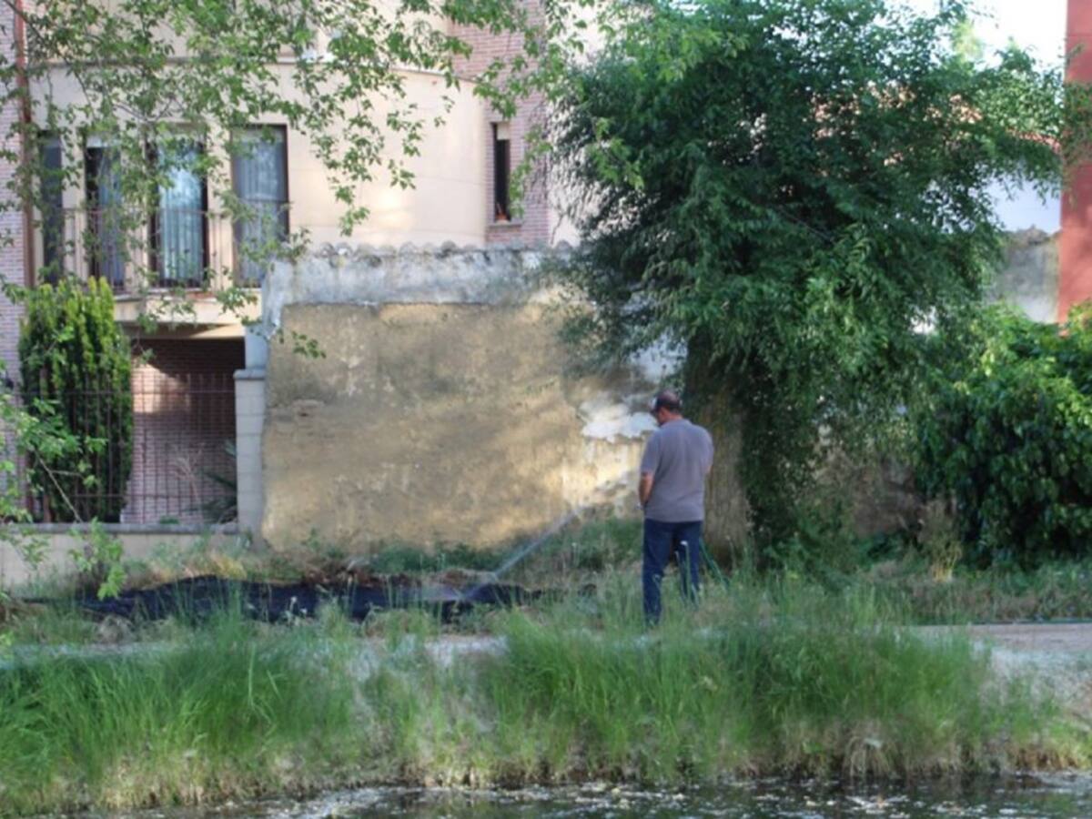 El último incendio de pelusas en Palencia, a punto de afectar a viviendas