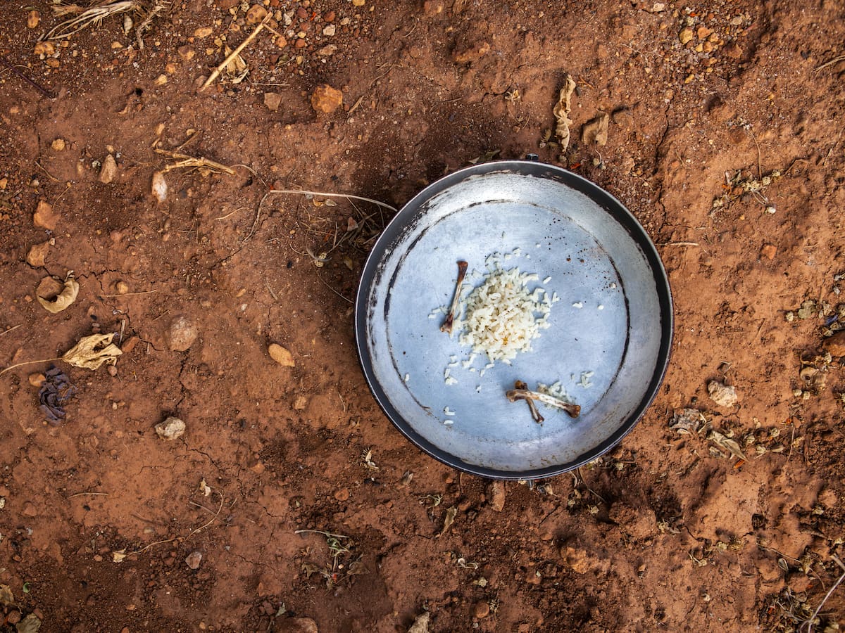 Un experto da el escalofriante dato que refleja la realidad del hambre en el mundo