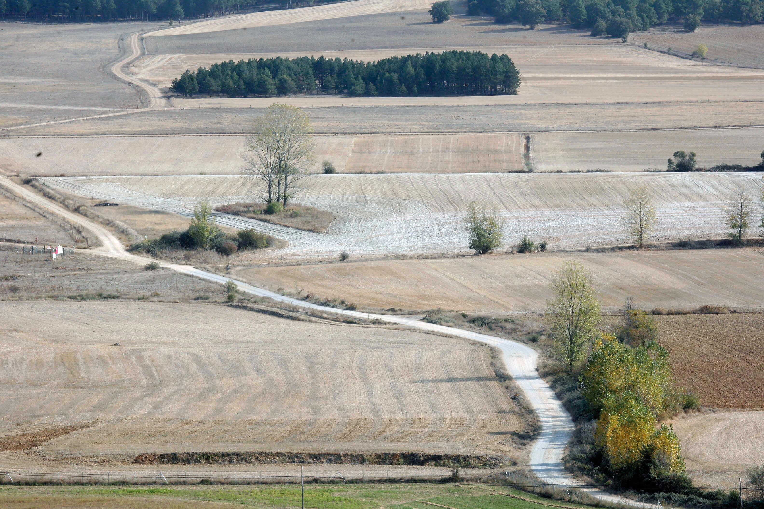 Camino rural en Buenavista de Valdavia