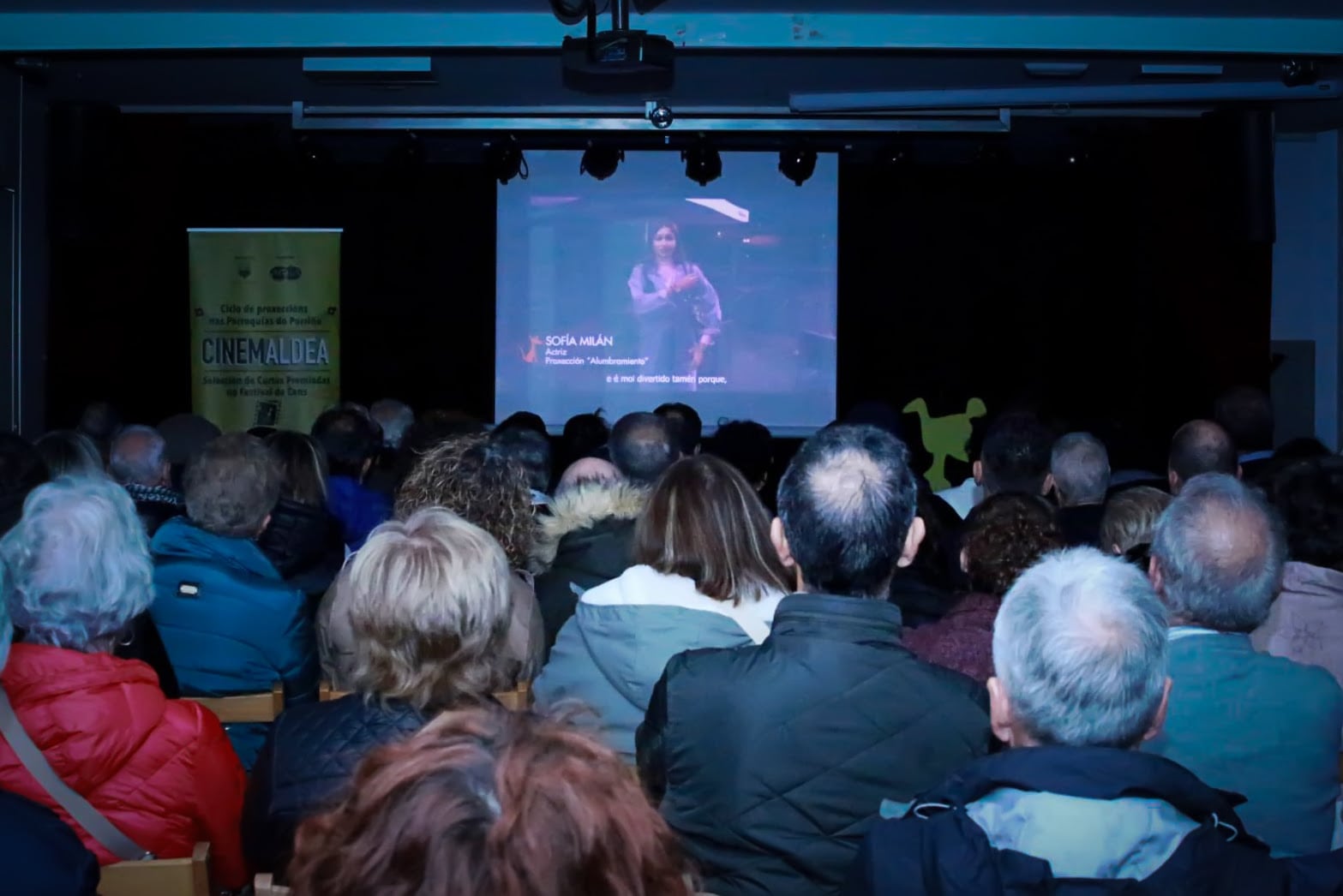 Cinemaldea, Festival de Cans