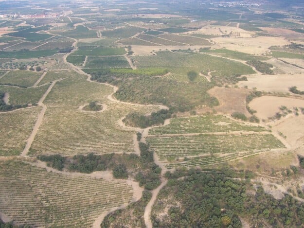 Viñedos del Somontano vistos desde el aire.