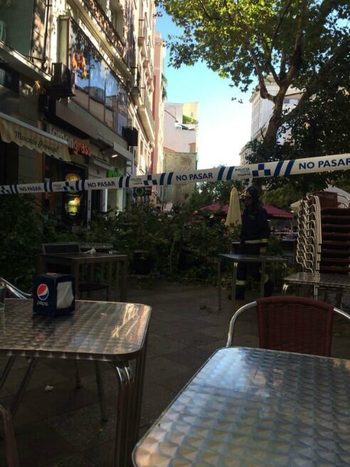 Una rama de arbol cae sobre una terraza en la calle Montera de Madrid.