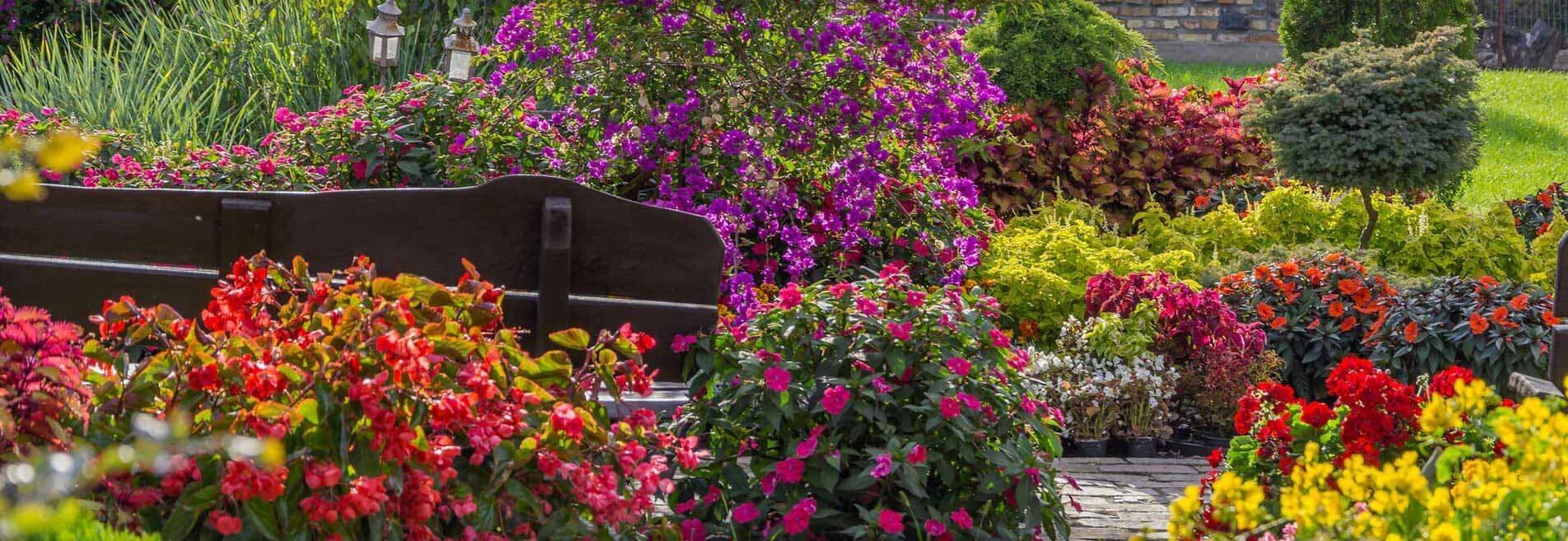 Plantas y flores en Centro de Jardinería Abeto