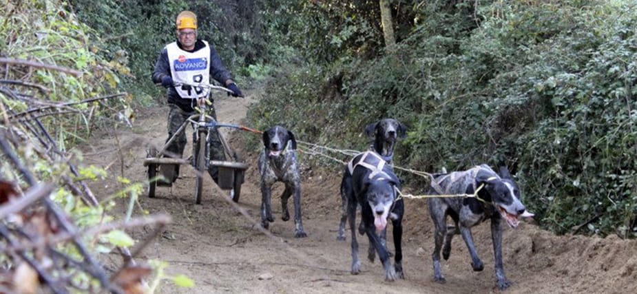 Carrera de trineo con ruedas sobre tierra