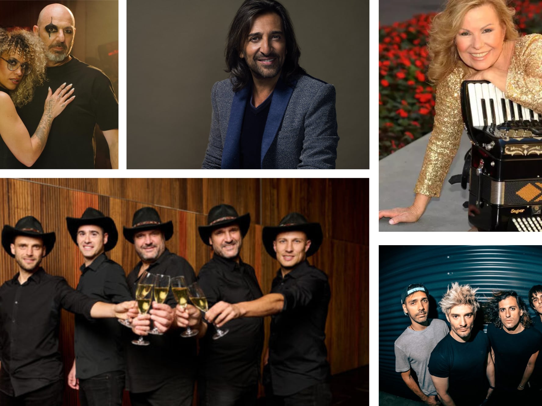 Algunos de los grupos que actuarán en las fiestas de Santa Ana 2025 en Tudela