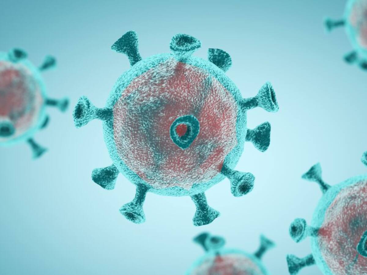 Coronavirus en Castilla y León: última hora de los afectados