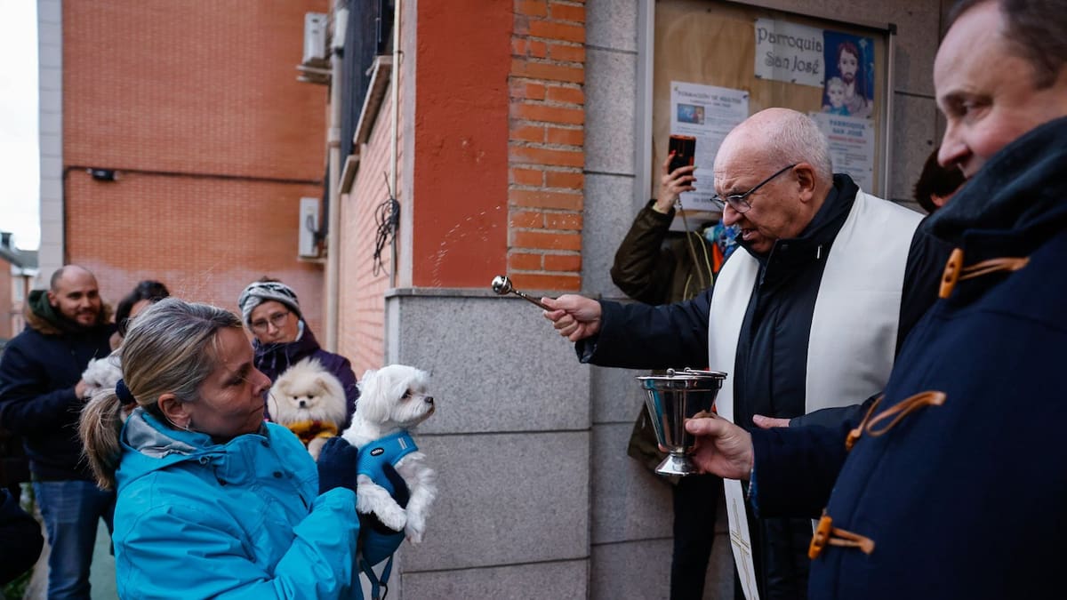 Entrevista a Antonio del Amo, párroco de la Parroquia de San José, y a Esther Rodríguez, secretaria de ADAAC, sobre la celebración de San Antón en Colmenar Viejo