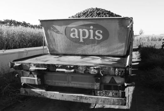 Trabajos para la elaboración de productos APIS
