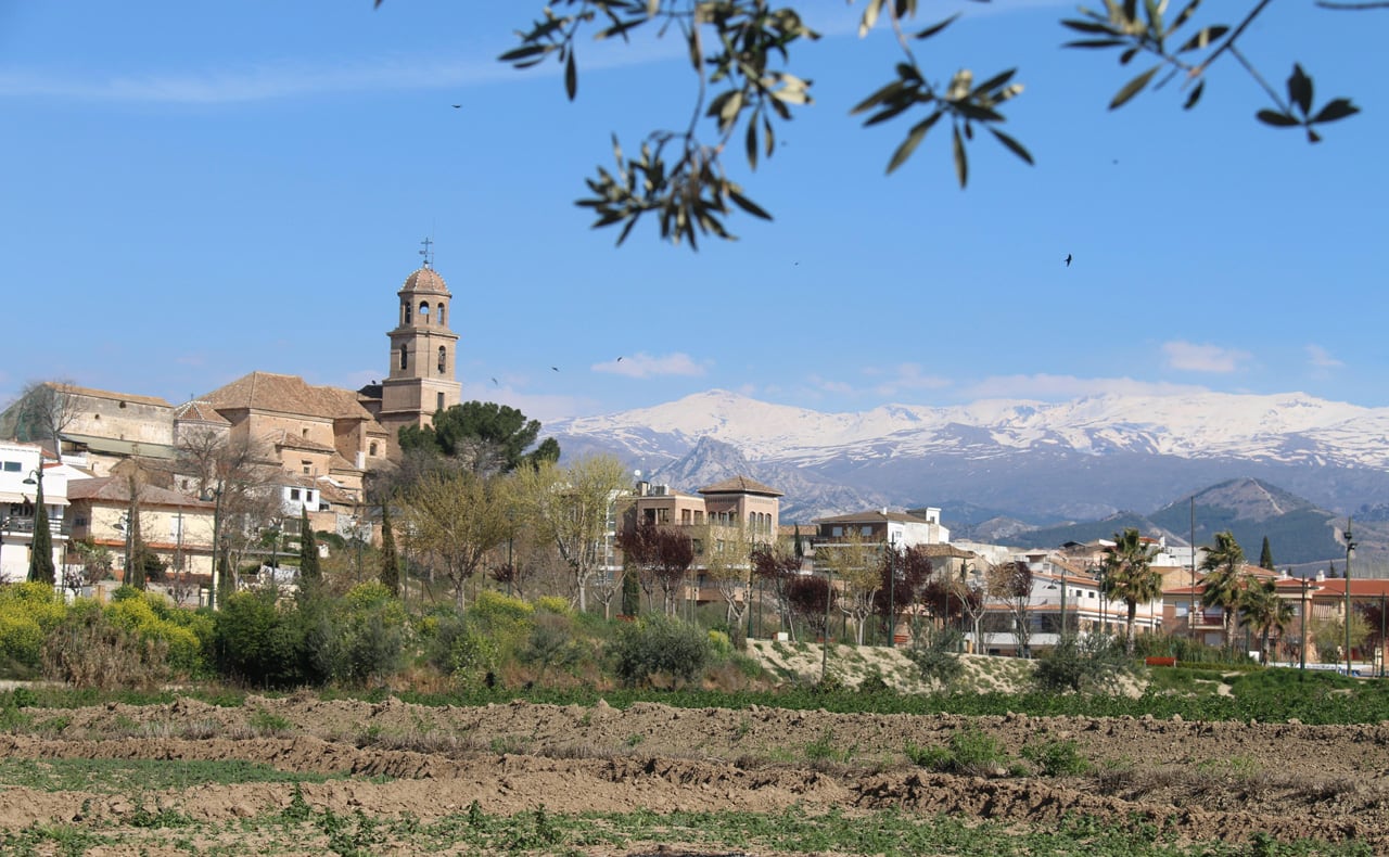 Panorámica de la localidad de Alhendín (Granada), con las cumbres de fondo de Sierra Nevada