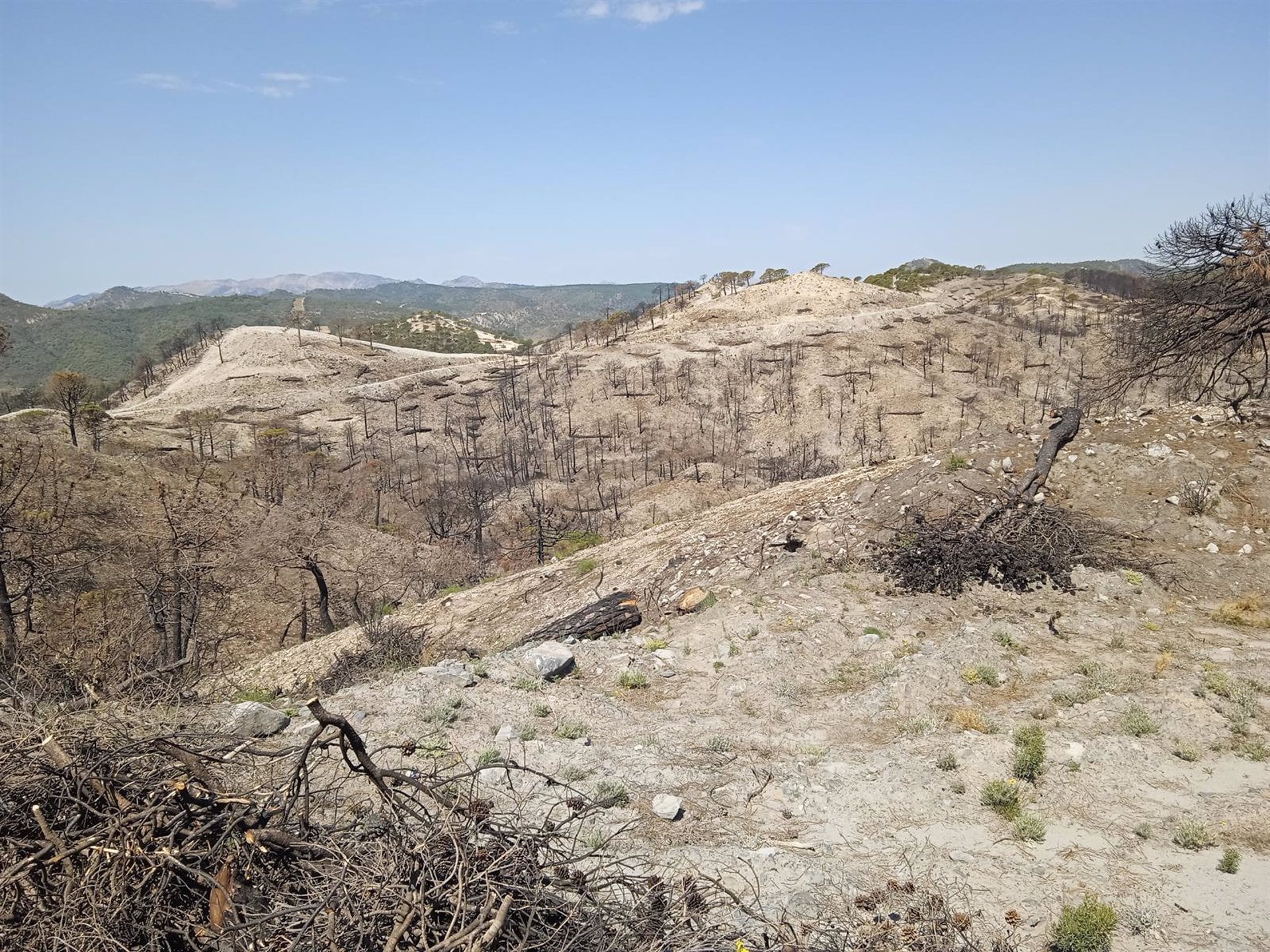 Imagen de archivo del incendio de Los Guájares (Granada)