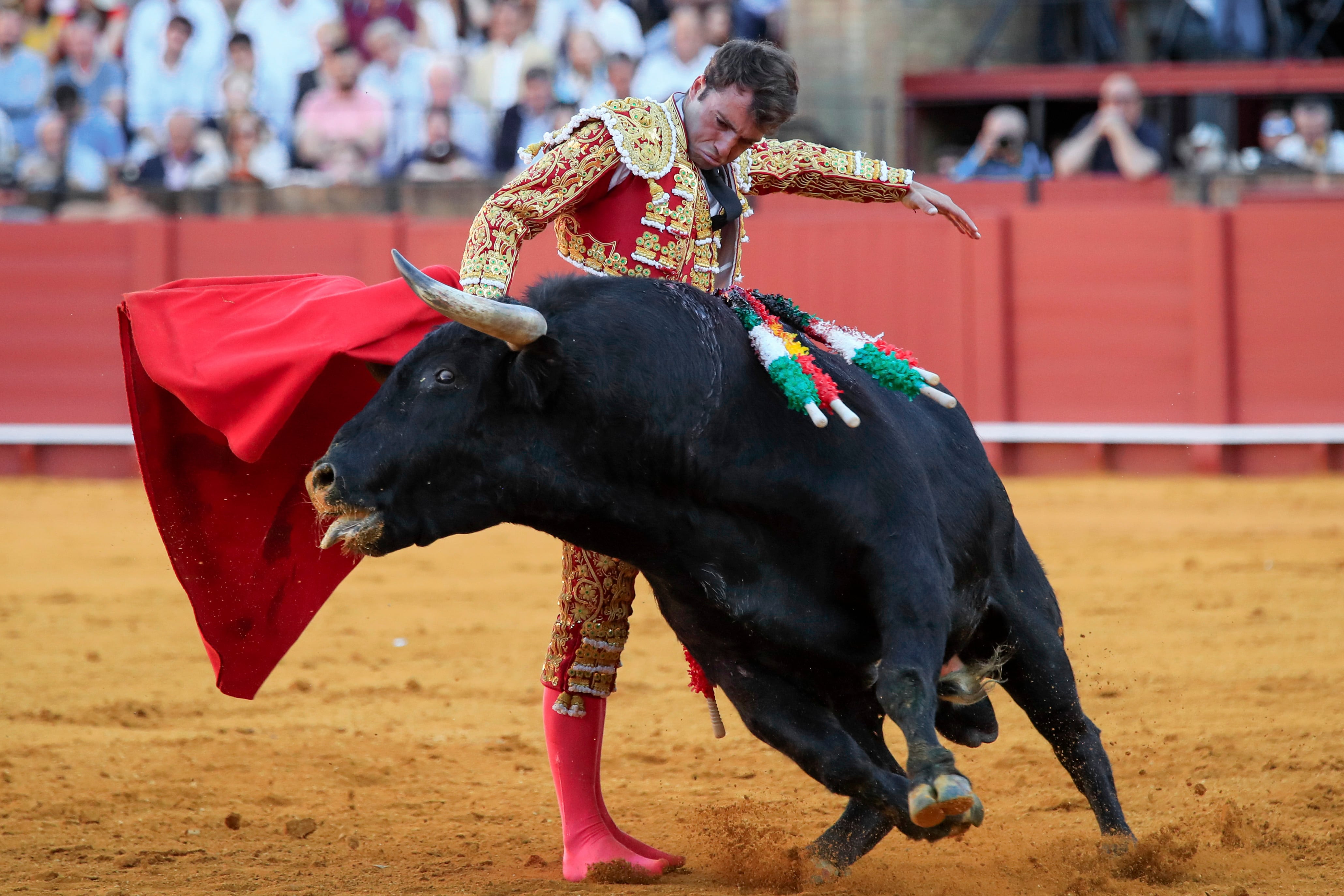 SEVILLA, 16/04/2023.- El torero Rafael Serna da un pase con la muleta a uno de los de su lote, durante la segunda corrida de abono de la Feria de Abril celebrada esta domingo en la plaza de la Real Maestranza de Sevilla. EFE/Julio Muñoz
