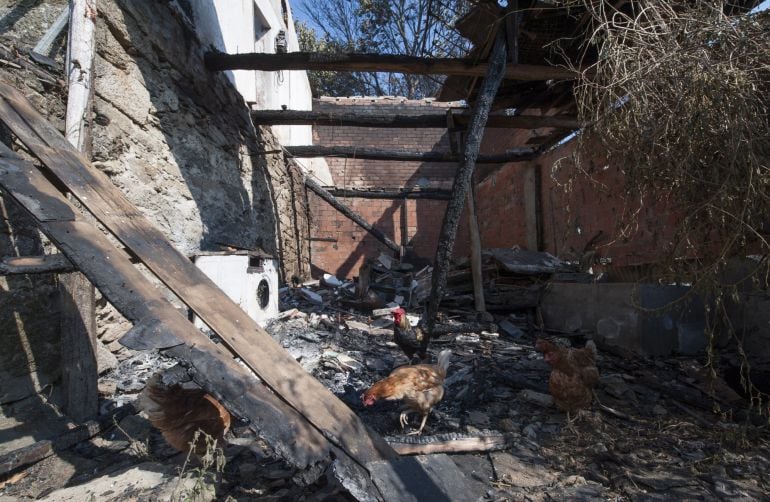 El fuego quemó una casa en Trives