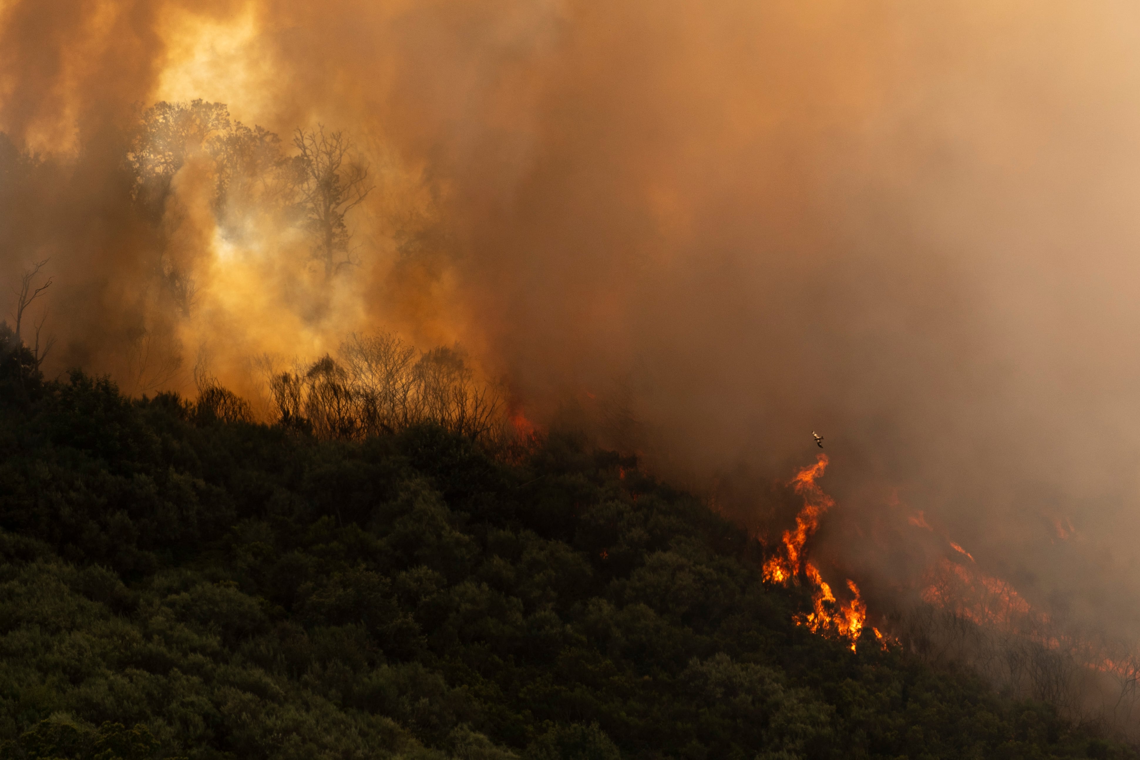 Llamas del incendio que afecta al municipio de Vilardevós
