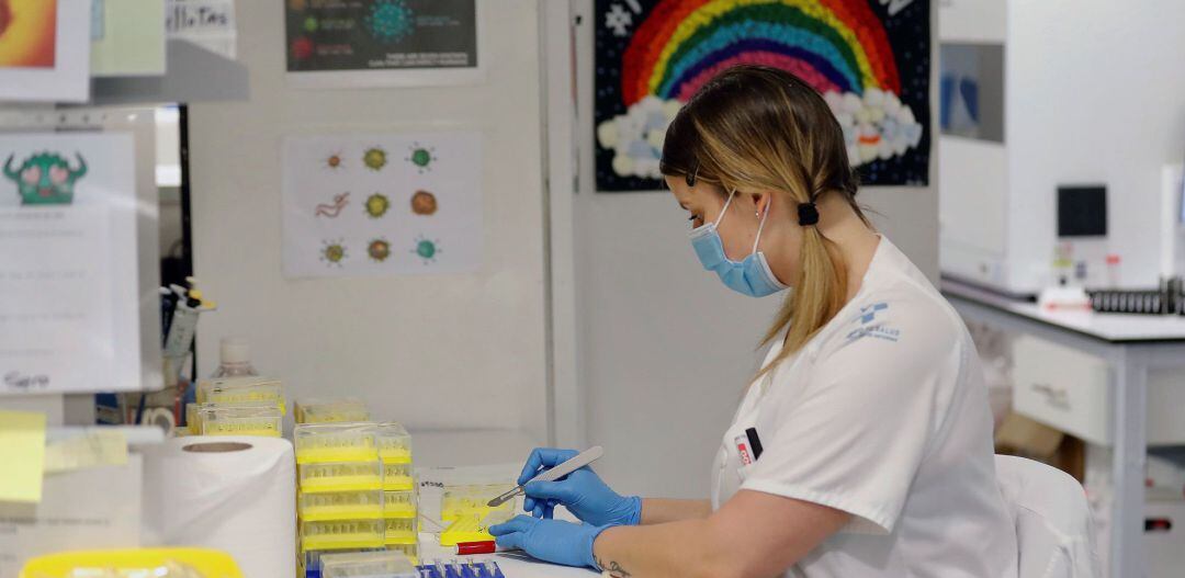 Técnicos sanitarios del Hospital Universitario Central de Asturias (HUCA), trabajan en el interior de la cabina de seguridad del laboratorio de virología.