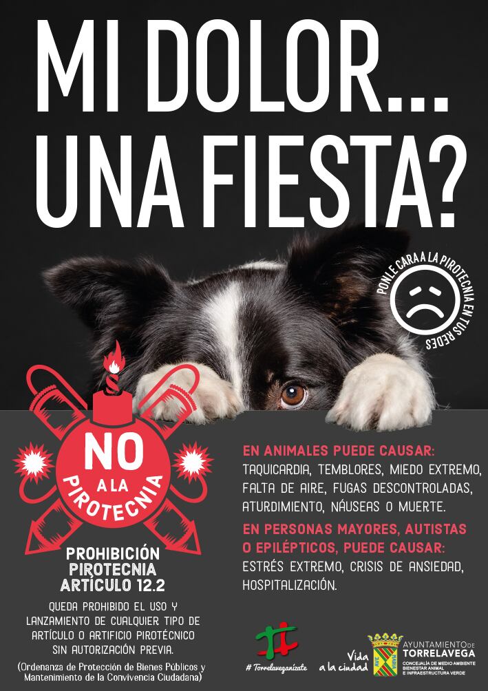 Cartel de la campaña `Mi dolor... una fiesta?´