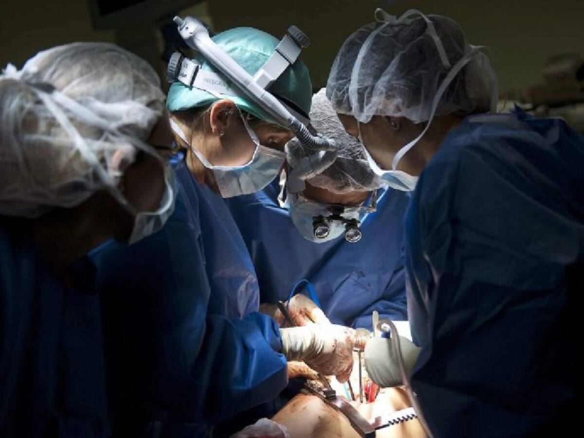 Euskadi registra una tasa de donantes 16 puntos superior a la de España