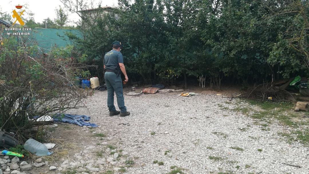 La Guardia Civil investiga a una persona por un supuesto delito de abandono animal