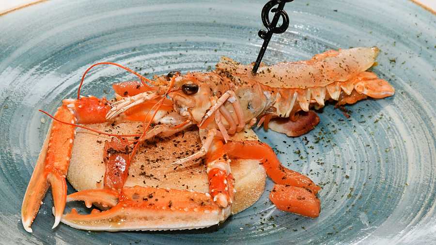 'La sirenita' de la Cava Aragonesa / Benidorm