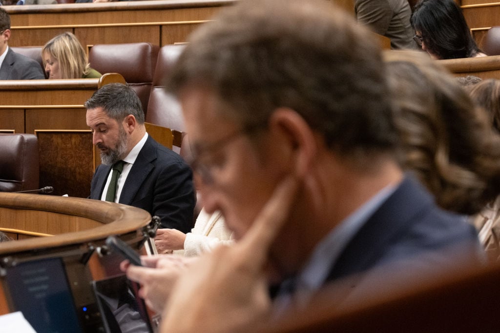 Santiago Abascal (Vox) y Alberto Núñez Feijóo (PP), en el Congreso.