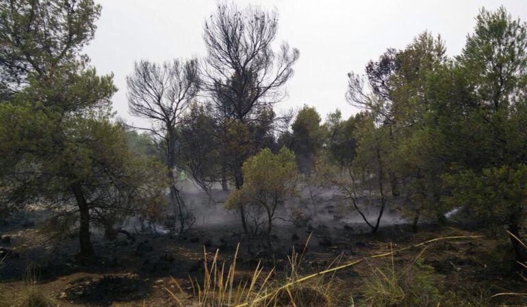 Foto del incendio en Monte Tobarrillas, Yecla. Twitter de SPPLB Yecla