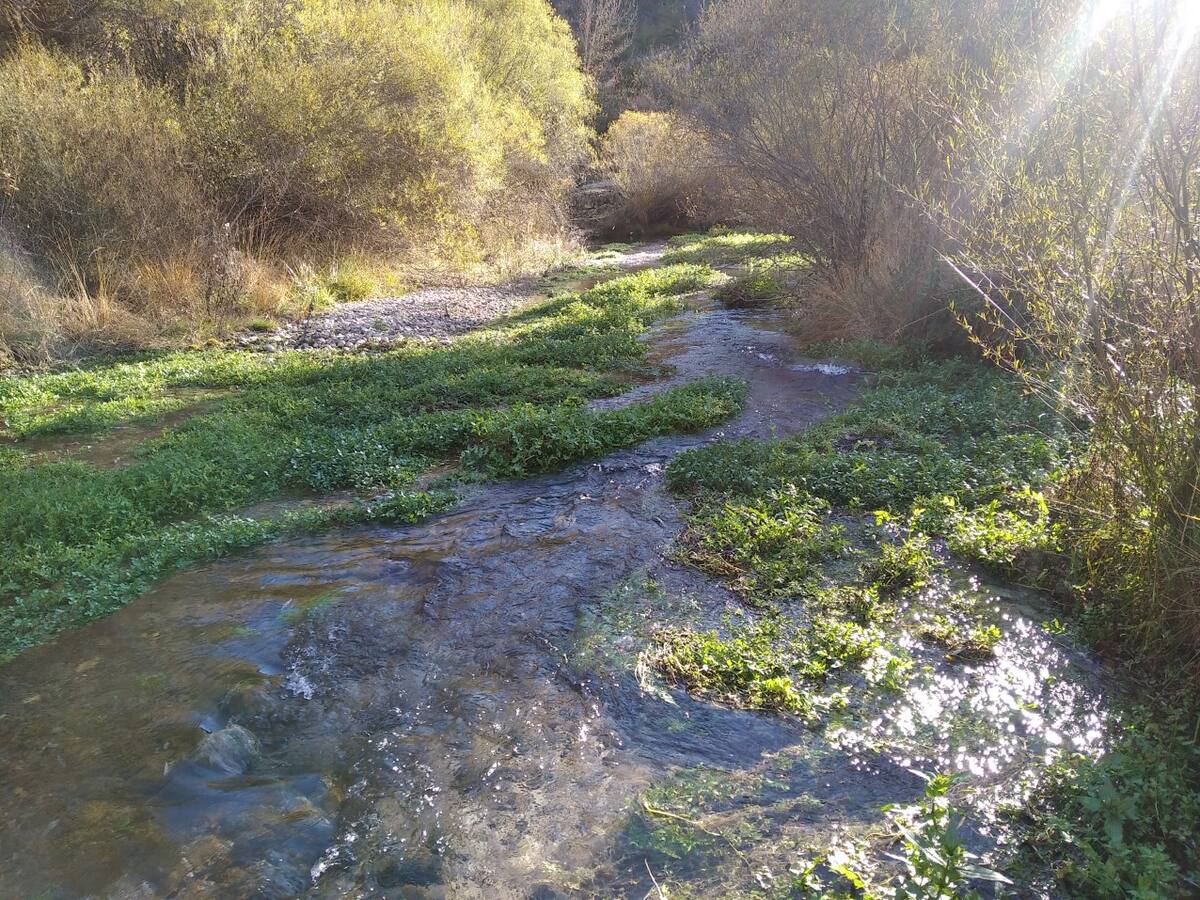 Los vecinos de Lecina piden "determinación" para acometer los proyectos en Sobrarbe Sur