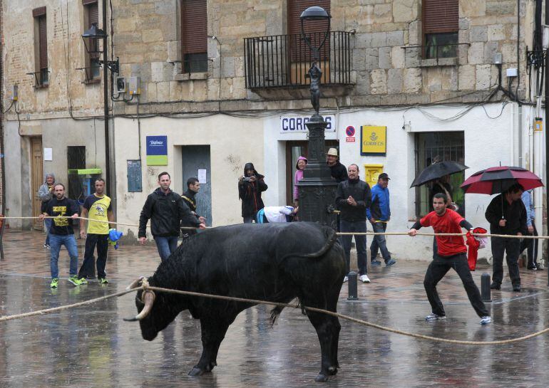 Un momento del festejo celebrado ayer en Astudillo.