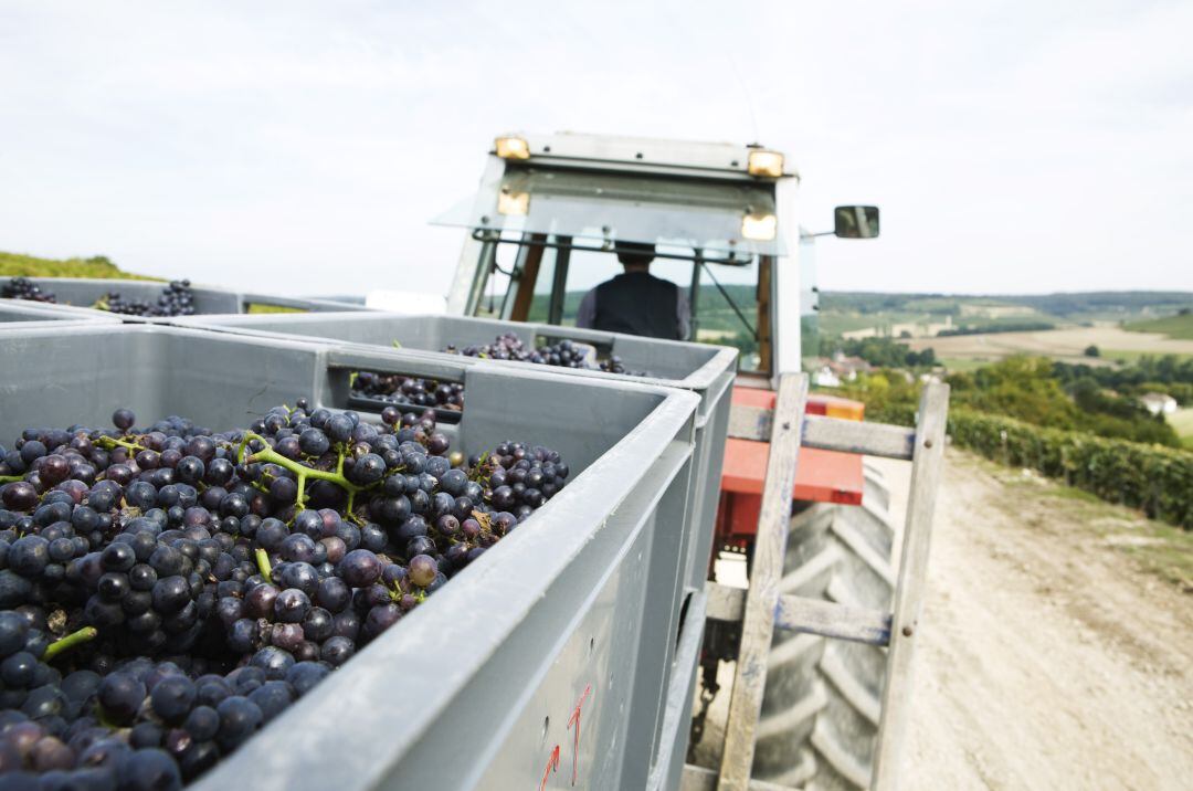 La agricultura es el sector donde más baja el paro en el último mes