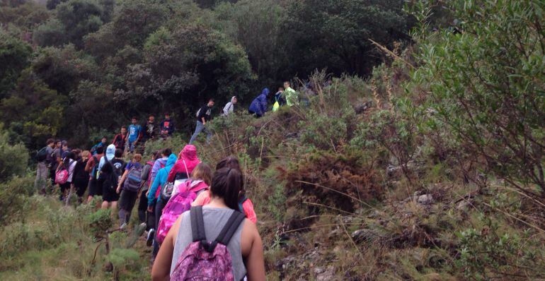 23.000 alumnos participaron en el programa ALDEA. Son chicas y chicos de 94 centros docentes públicos de Jaén que formaron parte de actividades de este programa educativo de educación ambiental para la comunidad educativa