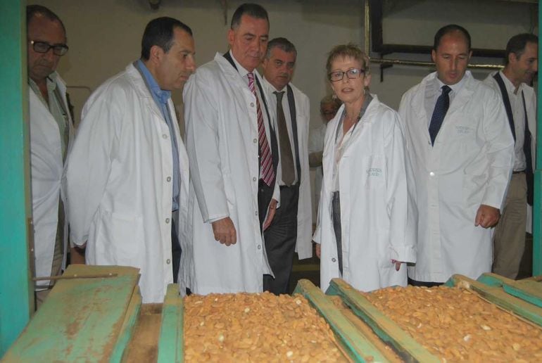 Visita a Almendrera del Sur