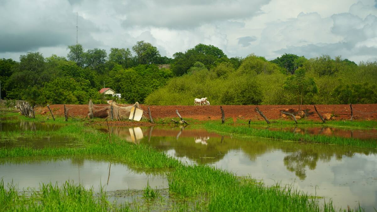 La salinización une a Baleares y el río Gambia en una problemática común