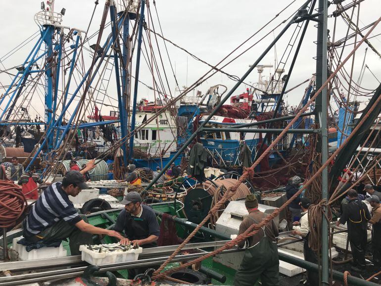 Pescadores marroquíes desembarcan la captura en el Puerto de Dajla (Sáhara Occidental)