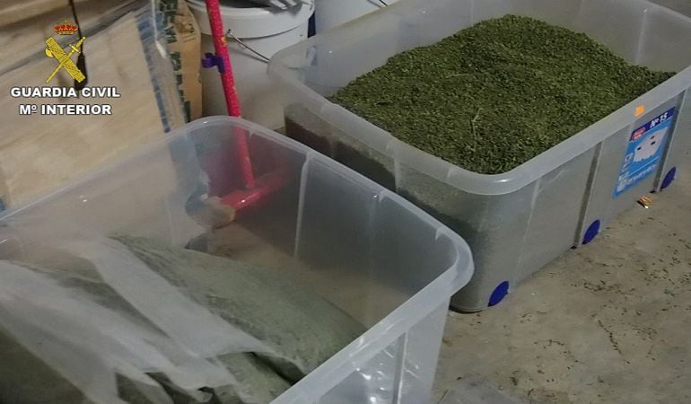 Marihuana aprehendida 