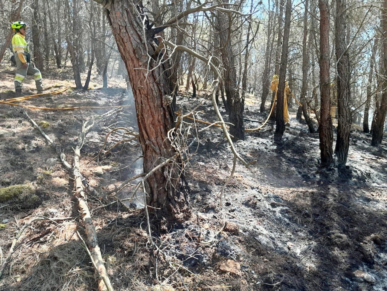 El incendio de Ateca arrasó 14.000 hectáreas
