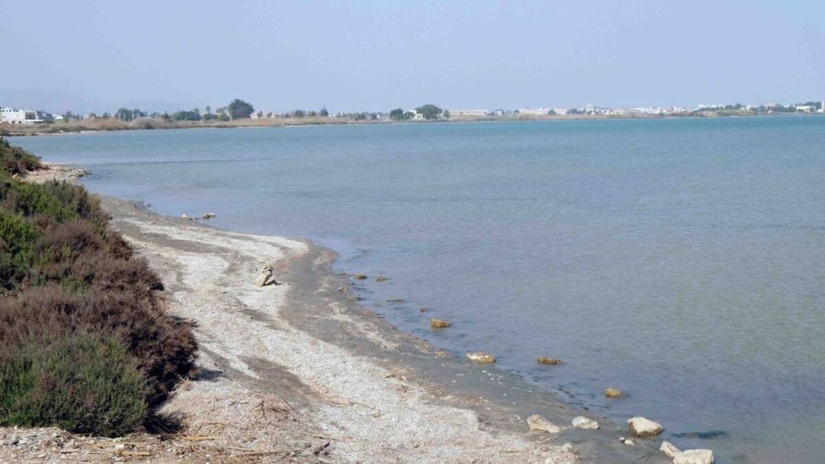 El MITECO no intervendrá en el rescate ecológico del Mar Menor hasta que no cesen todos los vertidos