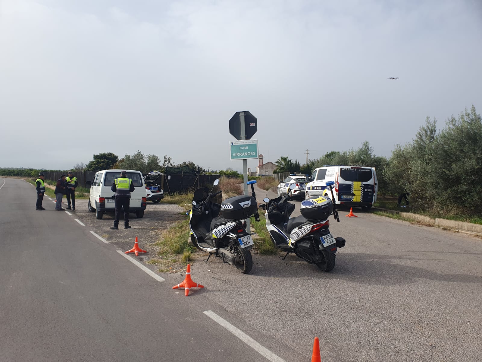 Campaña vigilancia cítricos Burriana