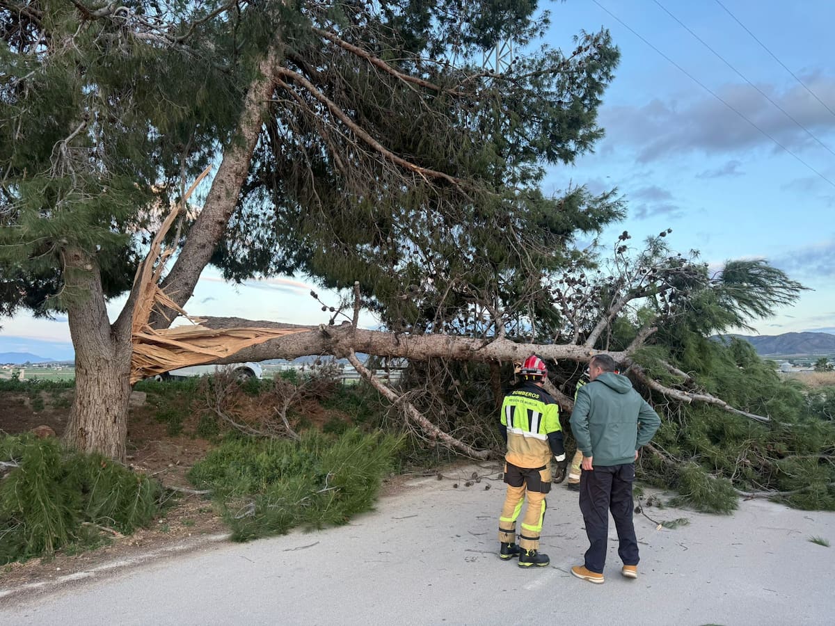 Lorca registra más de 50 incidencias provocadas por el fuerte viento del viernes y sábado