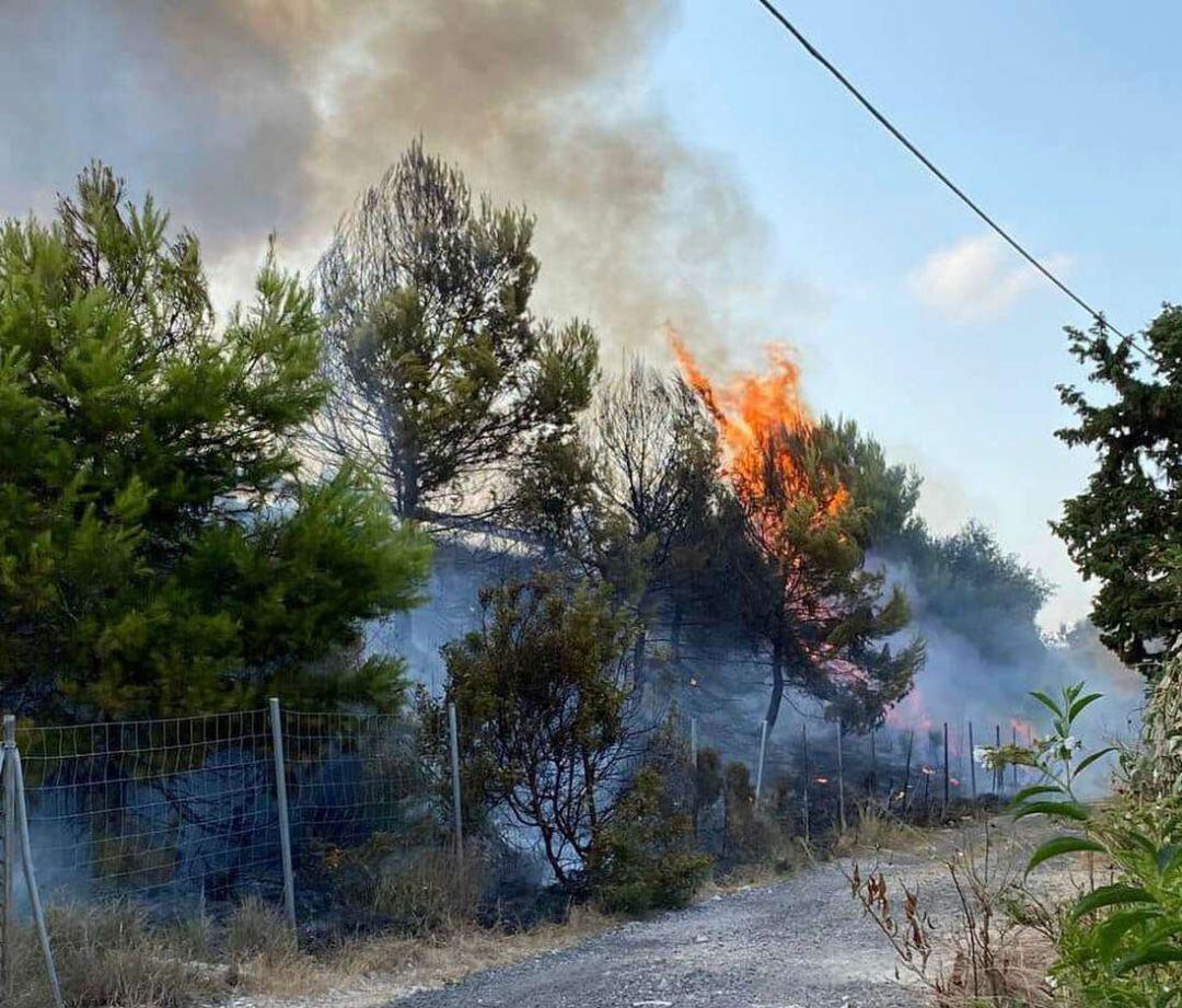 Incendio junto a la Ap-7 por culpa de una colilla
