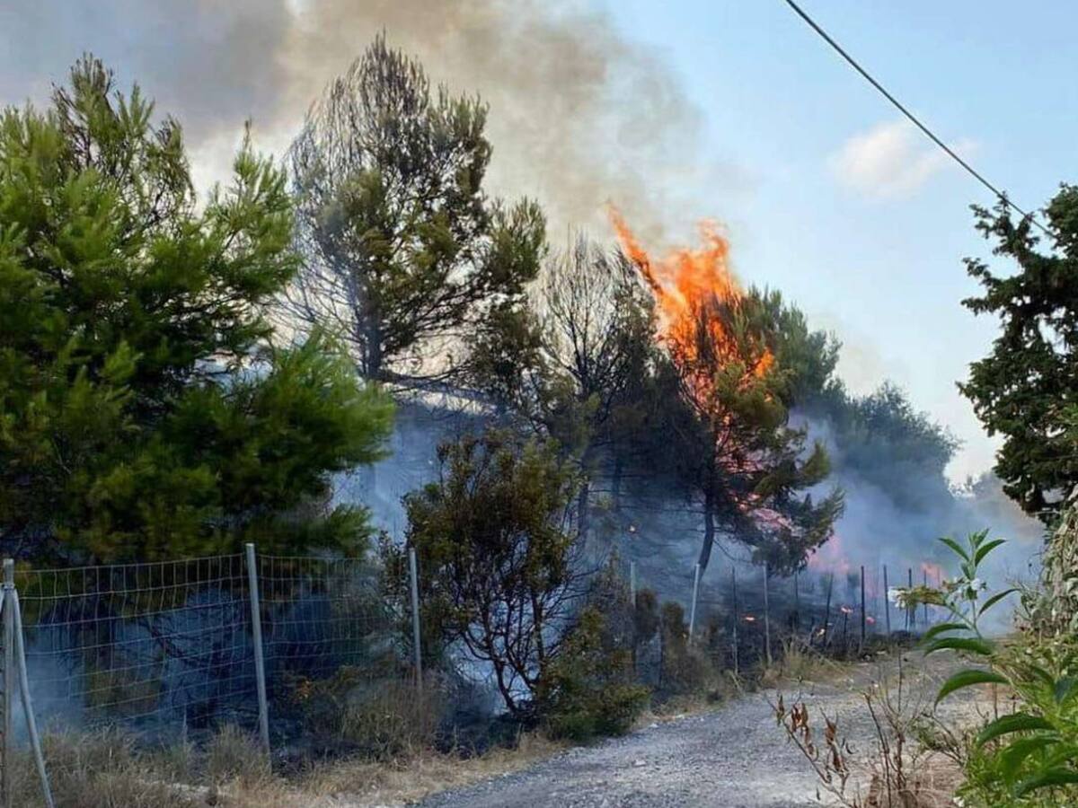 Dos incendios en la Valldigna, uno de ellos por culpa de una colilla