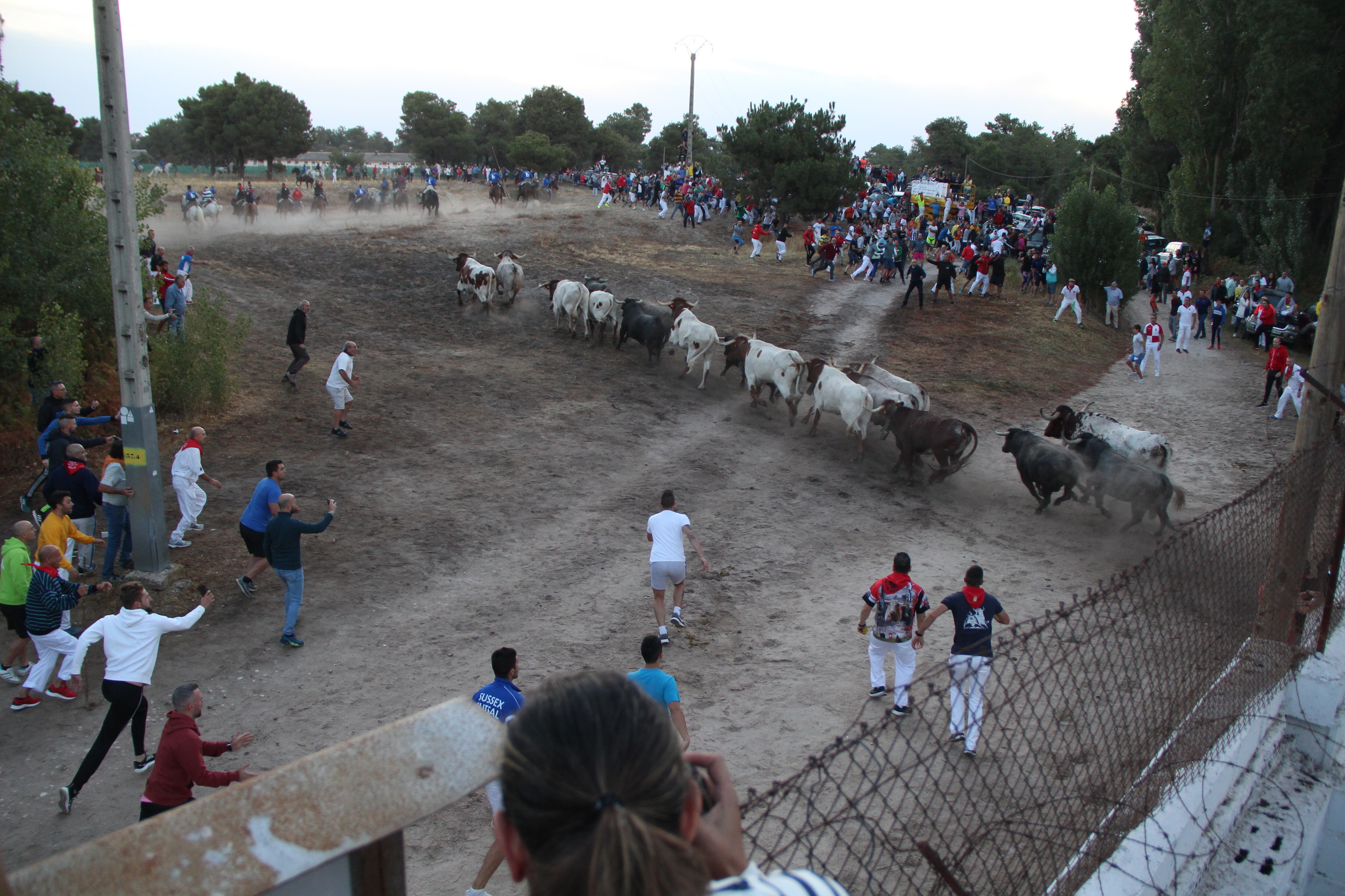 El encierro de Partido de Resina a su salida de los Corrales de Cuéllar