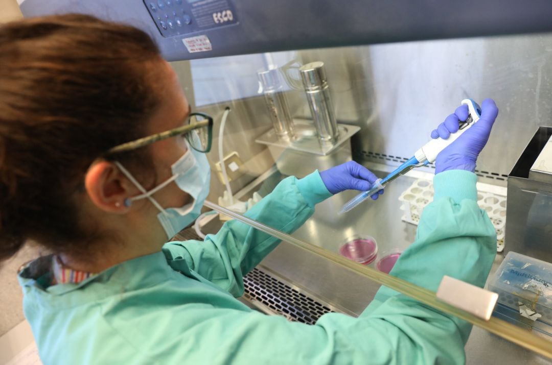Una bióloga trabaja en un laboratorio del Centro de Biología Molecular Severo Ochoa en el Campus de Cantoblanco de la Universidad Autónoma durante el tercer día de su reapertura.